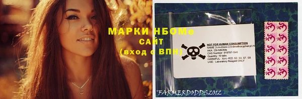 тгк Рославль