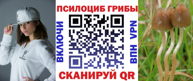 Псилоцибиновые грибы мицелий  купить наркотики сайты  Северодвинск 