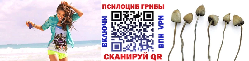 Галлюциногенные грибы мухоморы Северодвинск